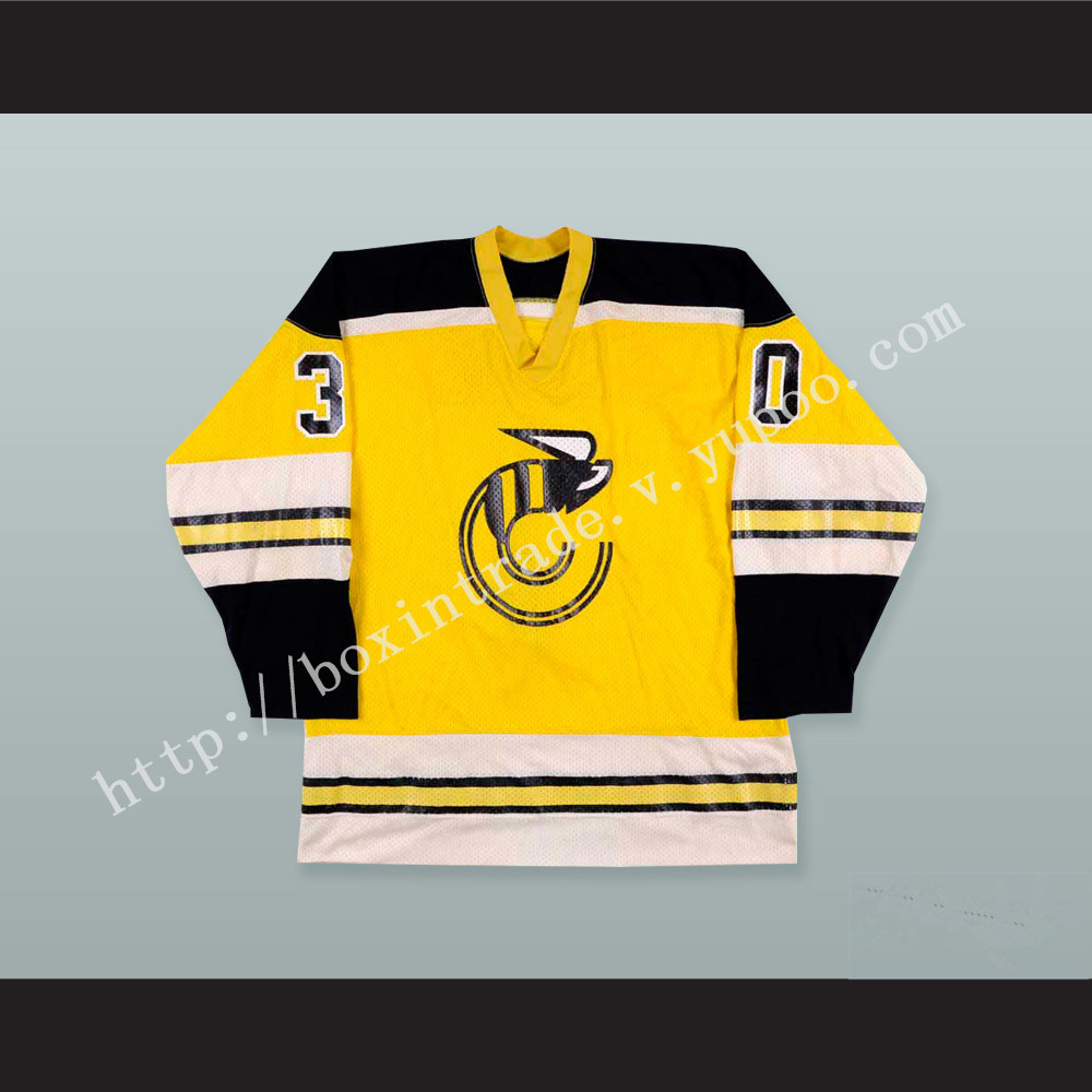 WHA Michel Dion 30 Cincinnati Stingers Hockey Jersey