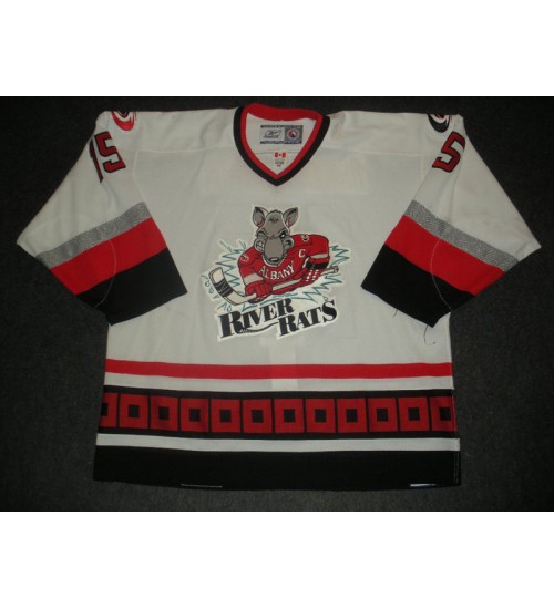 Custom AHL Albany River Rats 15 Brad Isbister Jersey Road White