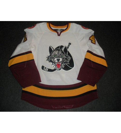 Custom AHL Chicago Wolves 14 Matt Anderson Hockey Jersey Home White