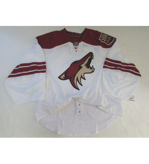 Custom Arizona Coyotes goaltender Authentic Premier Hockey Jersey Away White