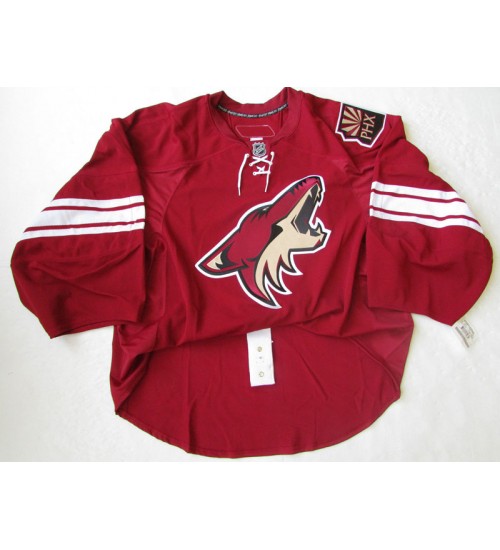 Custom Arizona Coyotes goaltender Authentic Premier Hockey Jersey Home Maroon