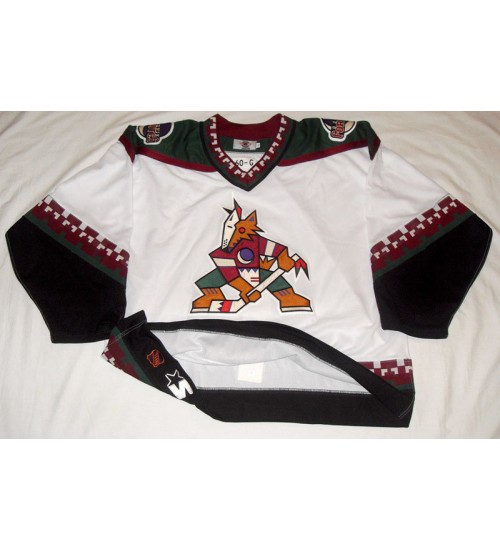 Custom Arizona Coyotes goaltender Classic Throwback Hockey Jersey Black