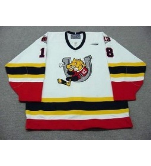 Custom CHL Barrie Colts 18 Rick Hwodeky Authentic Hockey Jersey Home White