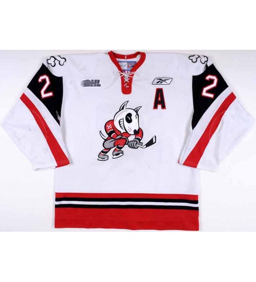 Custom CHL Niagara IceDogs OHL 22 Drew Schiestel Hockey Jersey White