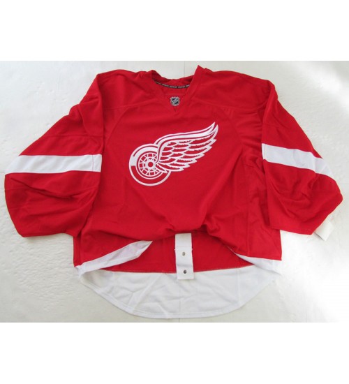 Custom Detroit Red Wings goaltender Authentic Premier Hockey Jersey Home Red