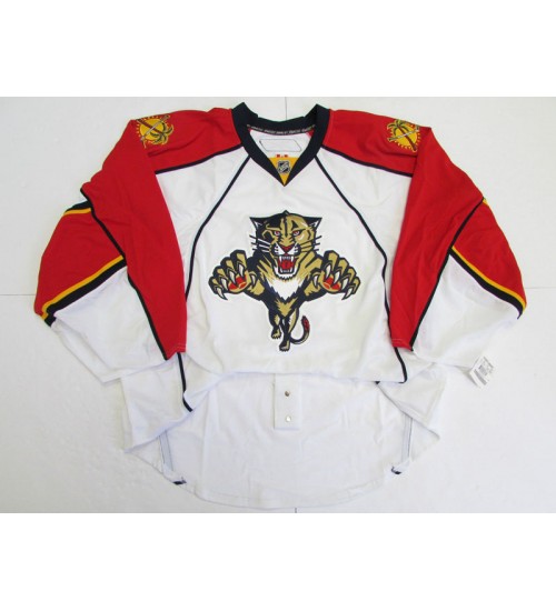 Custom Florida Panthers goaltender Authentic Premier Hockey Jersey Away White