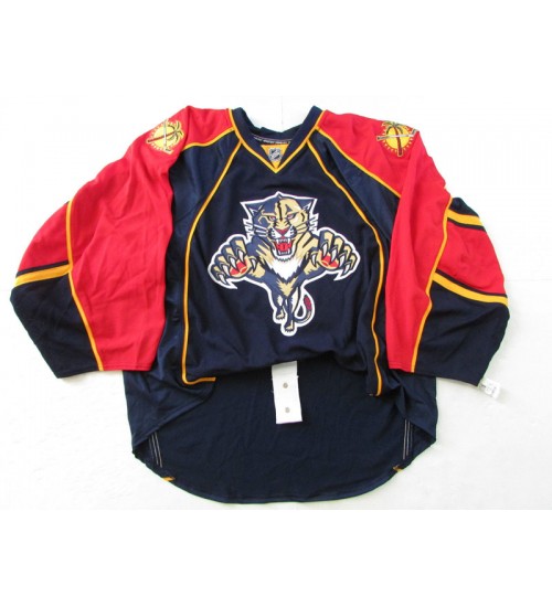 Custom Florida Panthers goaltender Authentic Premier Hockey Jersey Navy