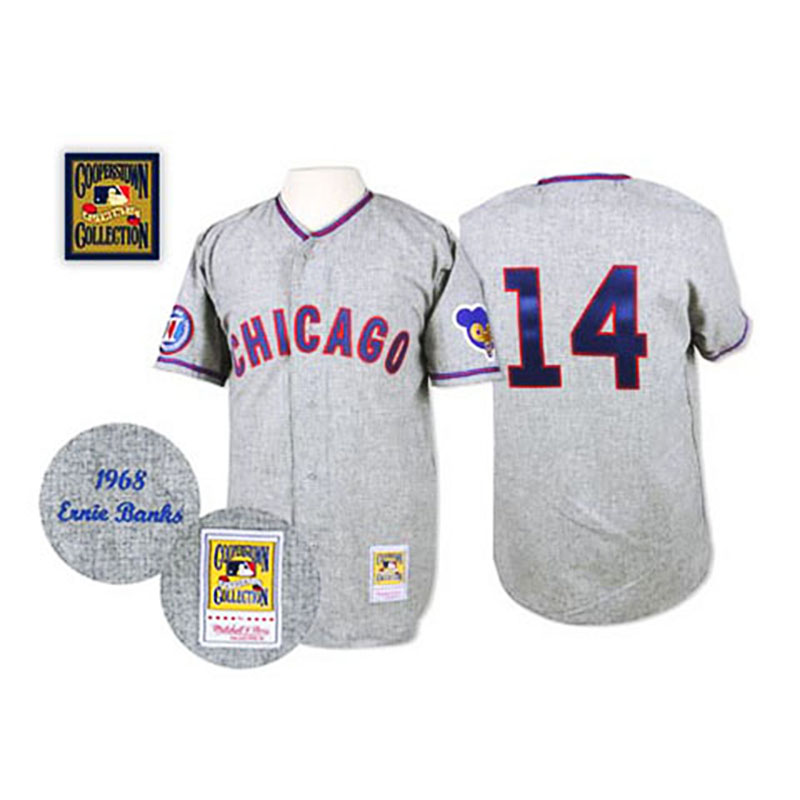 Chicago Cubs #14 Ernie Banks Grey Throwback Jersey