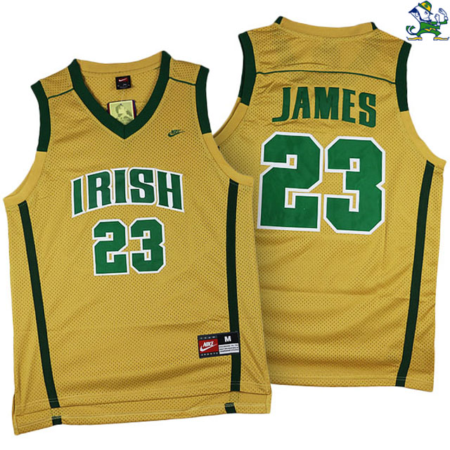 Men's LeBron James Fighting Irish High School #23 Gold Jersey