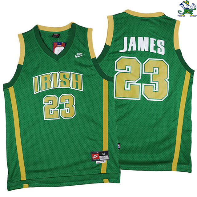 Men's LeBron James Fighting Irish High School #23 Green Jersey