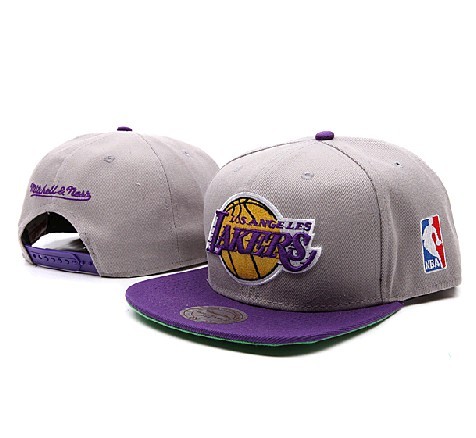 Men's  Los Angeles Lakers Team Arch 2-Tone Snapback Cap