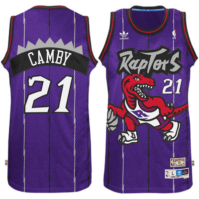 Men's  Raptors #21 Marcus Camby Purple Retro Jersey