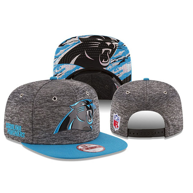 Carolina Panthers Light Blue Gray New Era Hat