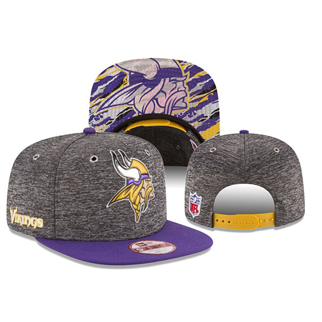 Minnesota Vikings Purple Gray New Era Hat