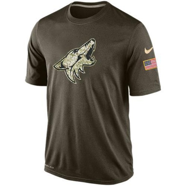 Men's Arizona Coyotes Green Camo Team T-Shirt