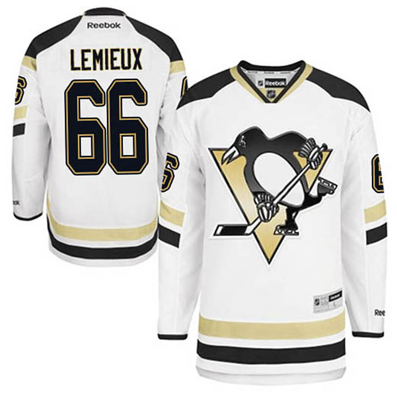 Mario Lemieux Pittsburgh Penguins #66 2014 Stadium Series Ice Hockey Jersey